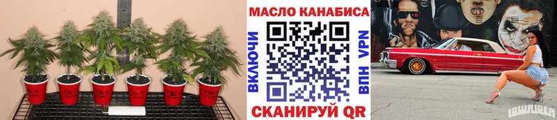 ТГК THC oil  Адыгейск 