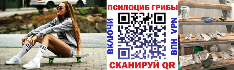 mega ссылки  Адыгейск  Псилоцибиновые грибы Psilocybe 